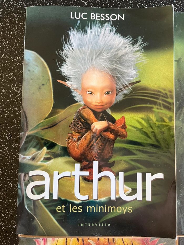 Arthur et les minimoys - photo numéro 2