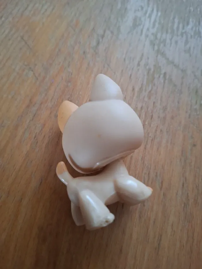 Chien petshop #2196 - photo numéro 3
