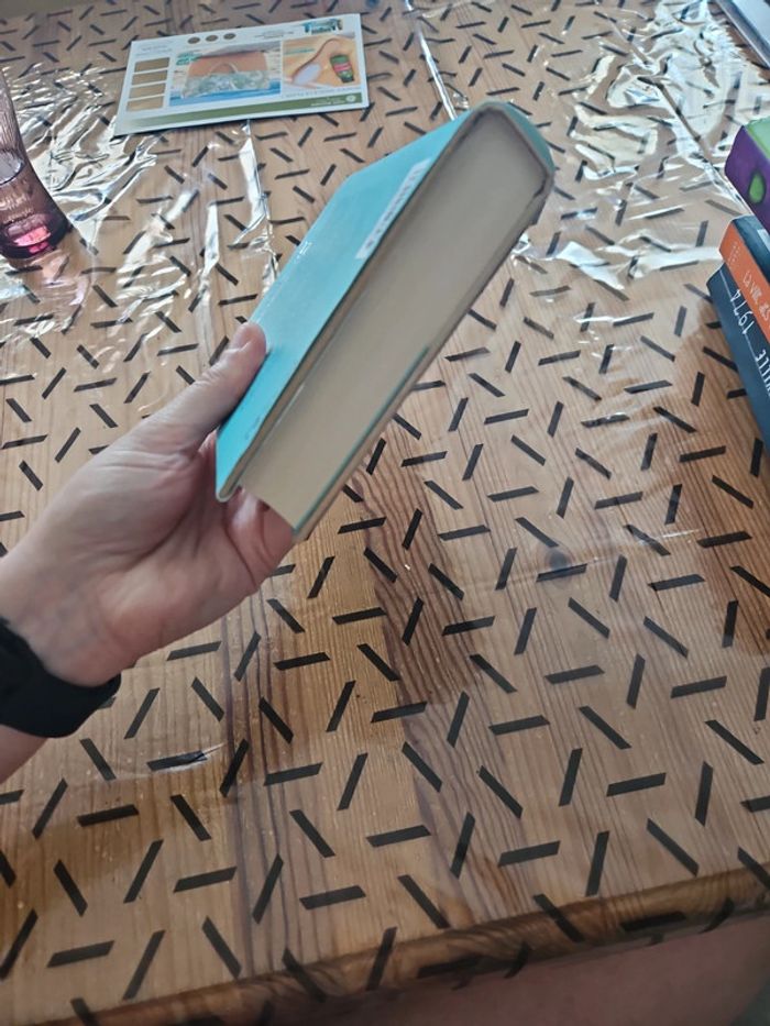 Livre Françoise Bourdin - photo numéro 5