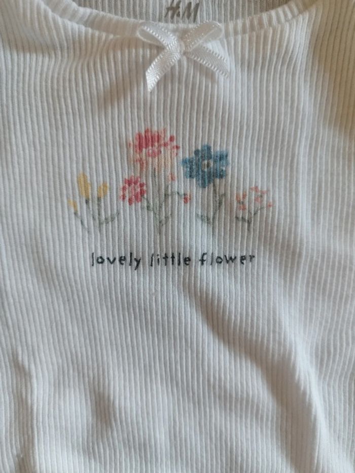 Ensemble été fleuri 1 mois - photo numéro 2