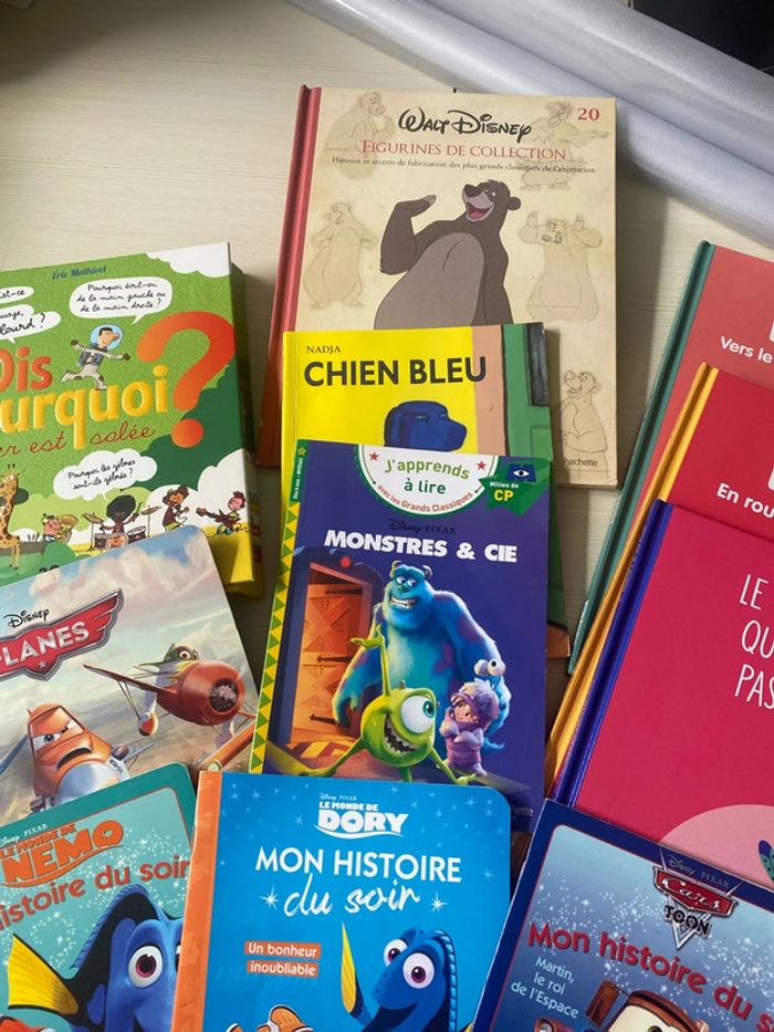 Gros lot de libre - photo numéro 3