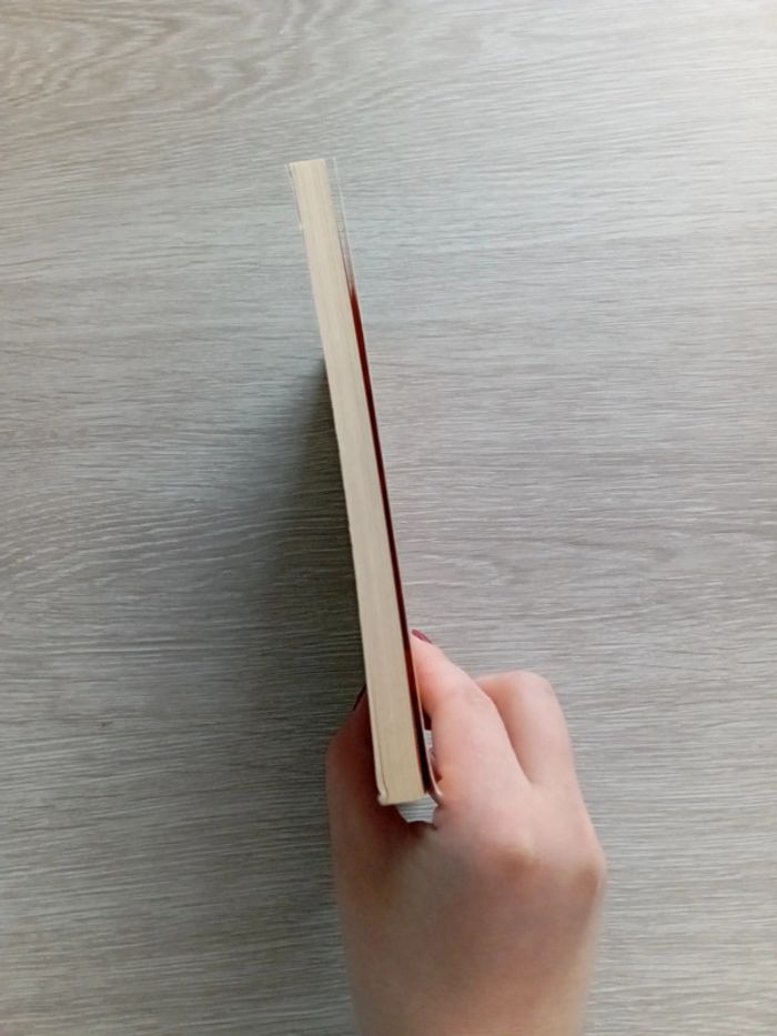 Livre : Yvain ou le Chevalier au lion de Chrétien de Troyes - photo numéro 5