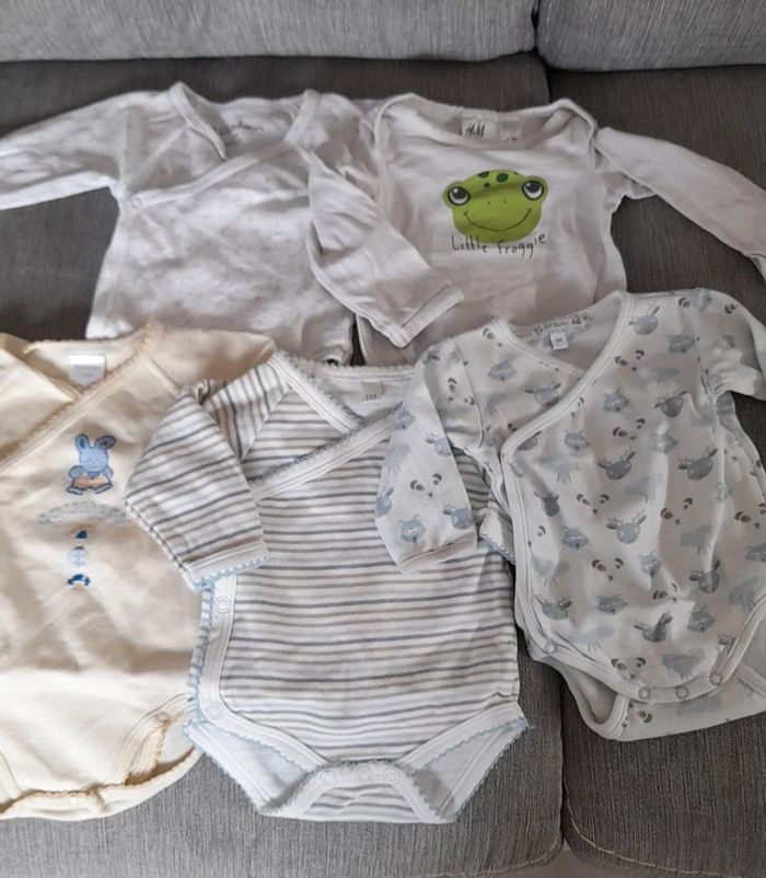 Lot 5 bodies