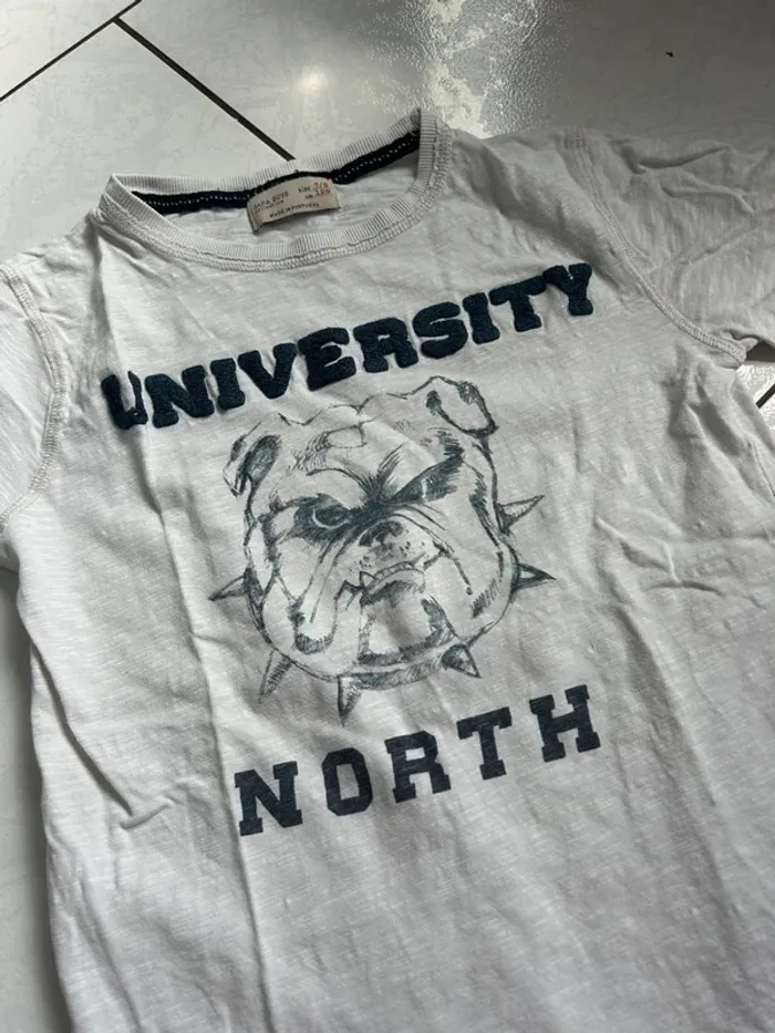 TEE shirt zara boys - photo numéro 2