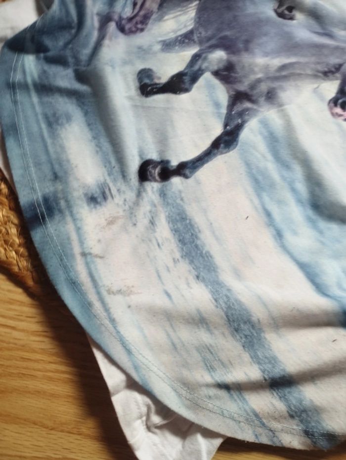 Lot t-shirts chevaux 8/10ans - photo numéro 3