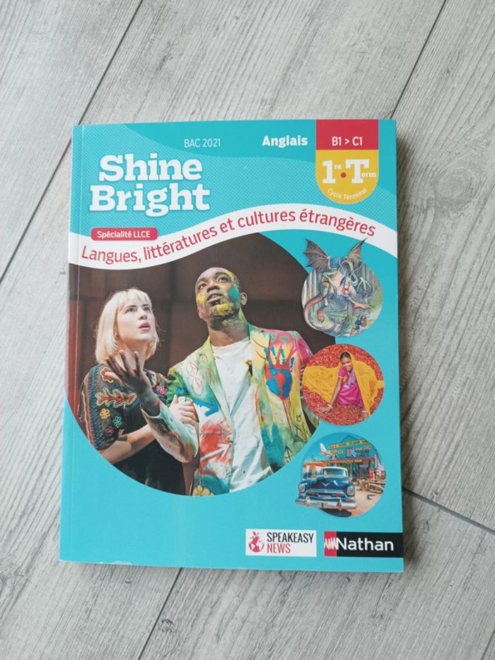 Shine Bright llce