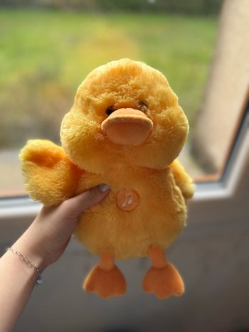 Peluche canard 
