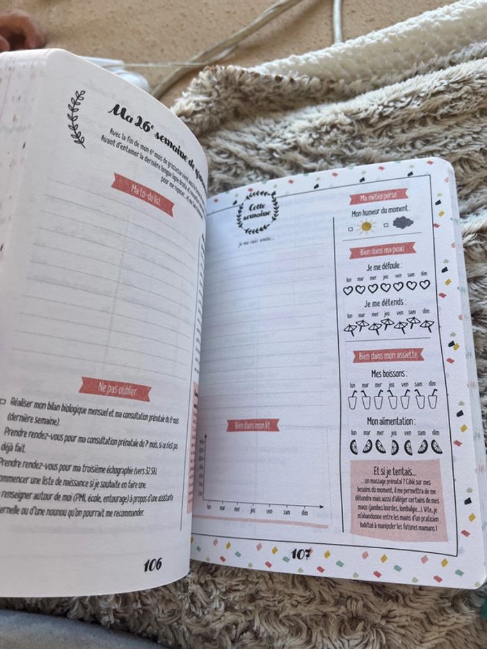 Petit journal de ma grossesse - photo numéro 4