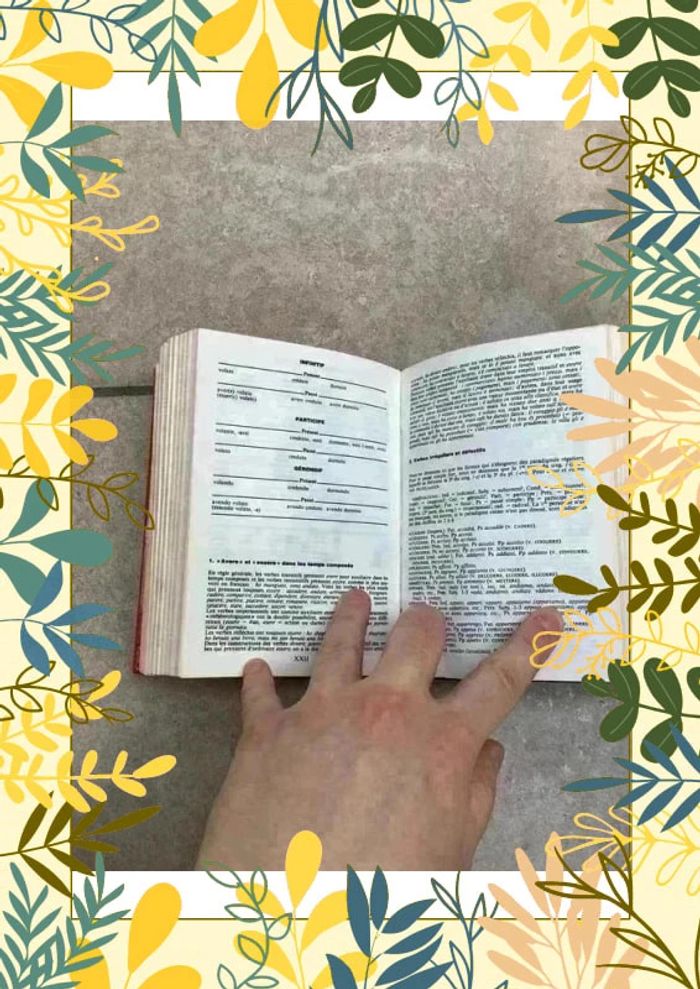 Dictionnaire français italien Larousse - photo numéro 6