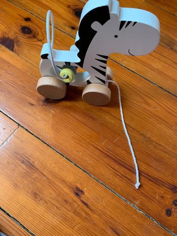 Petit zèbre à tirer vert baudet