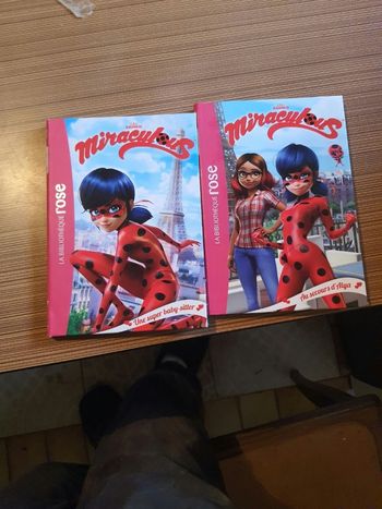 Lot de 2 livre miraculous