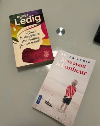 Lot de 2 livres d’Agnès Ledig