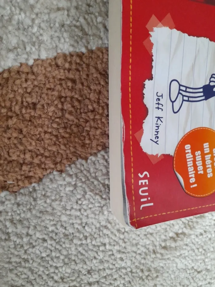 Journal d'un dégonflé - photo numéro 3