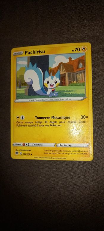 Carte pokémon pachirisu