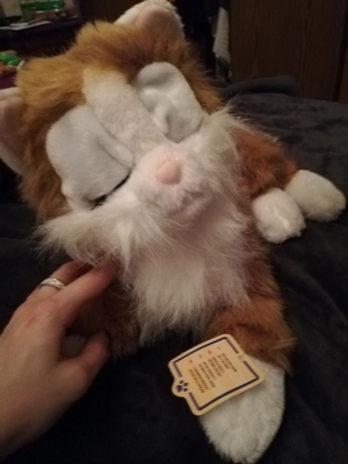 Peluche chat