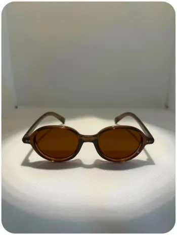 Lunettes de soleil