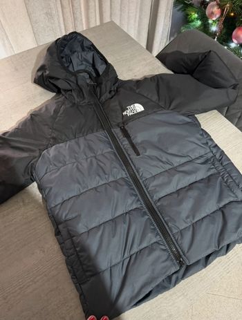 Doudoune the North face