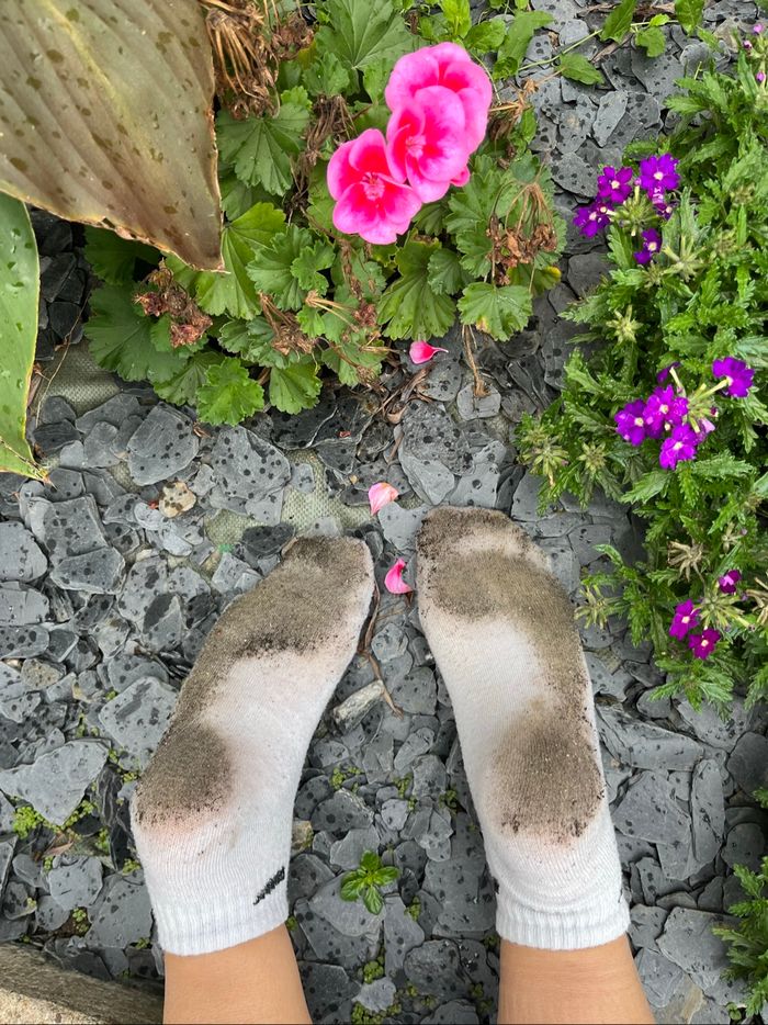 Chaussette sale