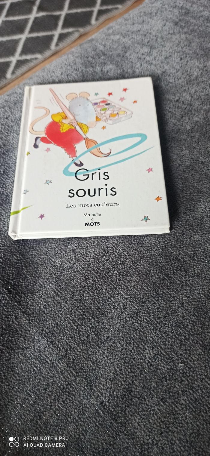 Livre Gris souris