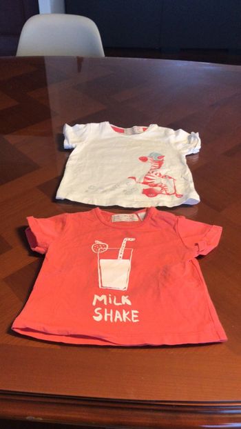 Lot teeshirts Zara kids