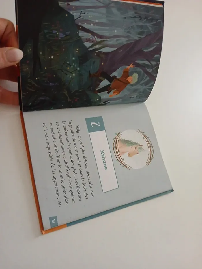 Le maître des licornes - photo numéro 3