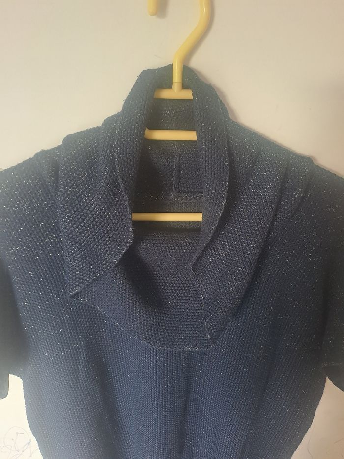 Pull Manches courtes grand col roulé - photo numéro 7