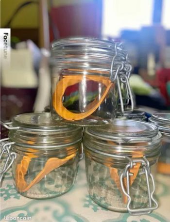 Lot 7 bocaux thermiques