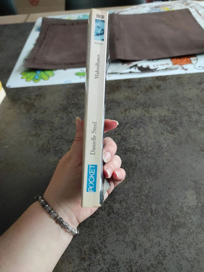 Malveillance - photo numéro 3