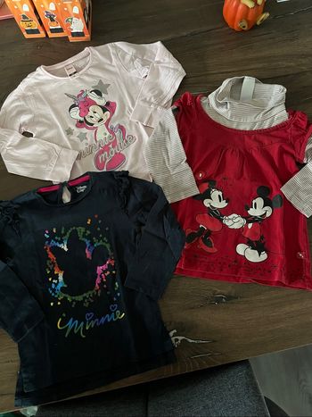 Lot 3 pulls fins Minnie