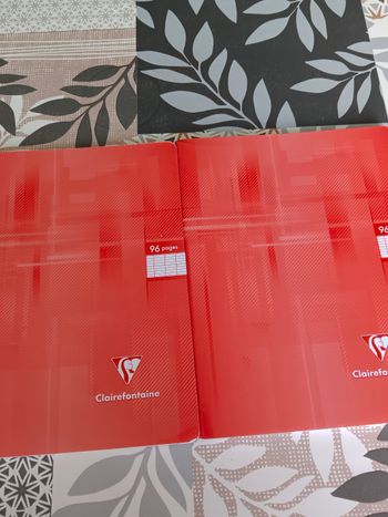 Lot de 2 petits  cahiers 96 pages