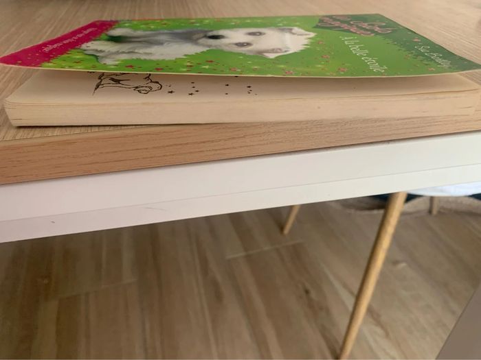 Livre les chiots magiques - photo numéro 5