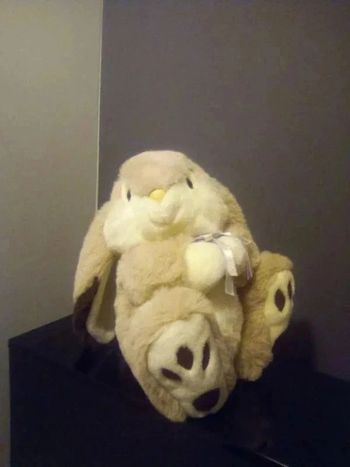 Peluche Lapin en TBE (lavée, très douce)