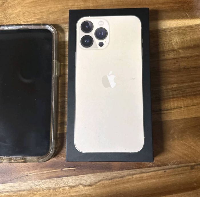 I p h o n e  13  p r o  m a x - photo numéro 2