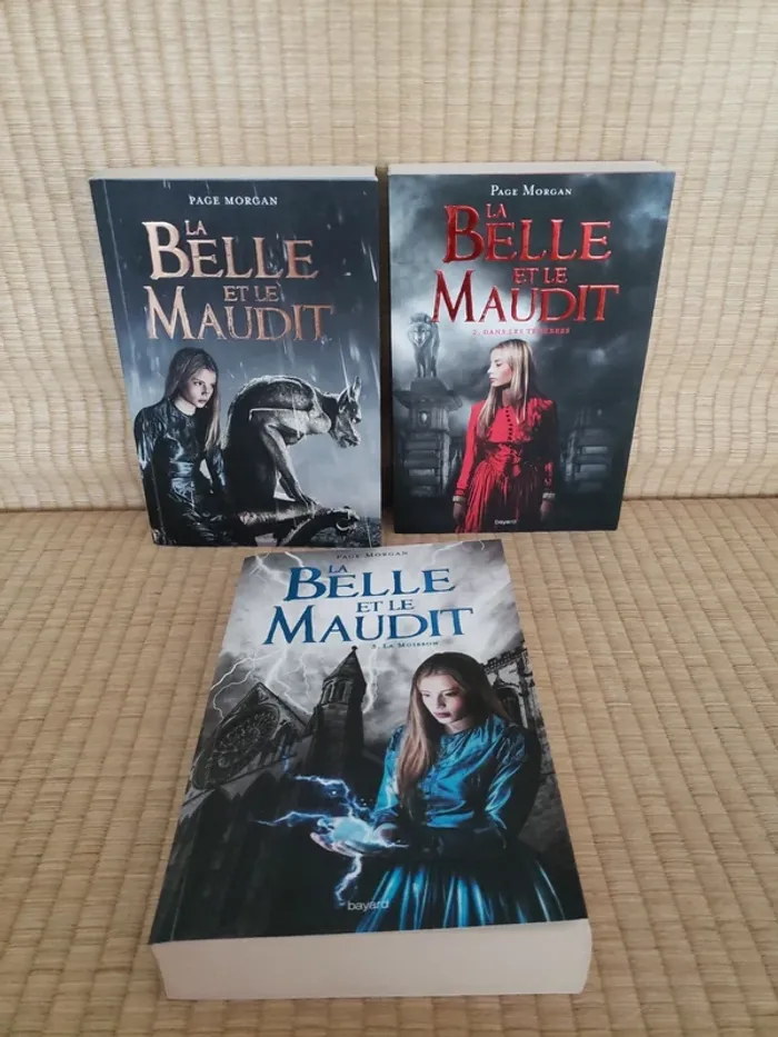 La Belle et le Maudit 3 tomes - photo numéro 2