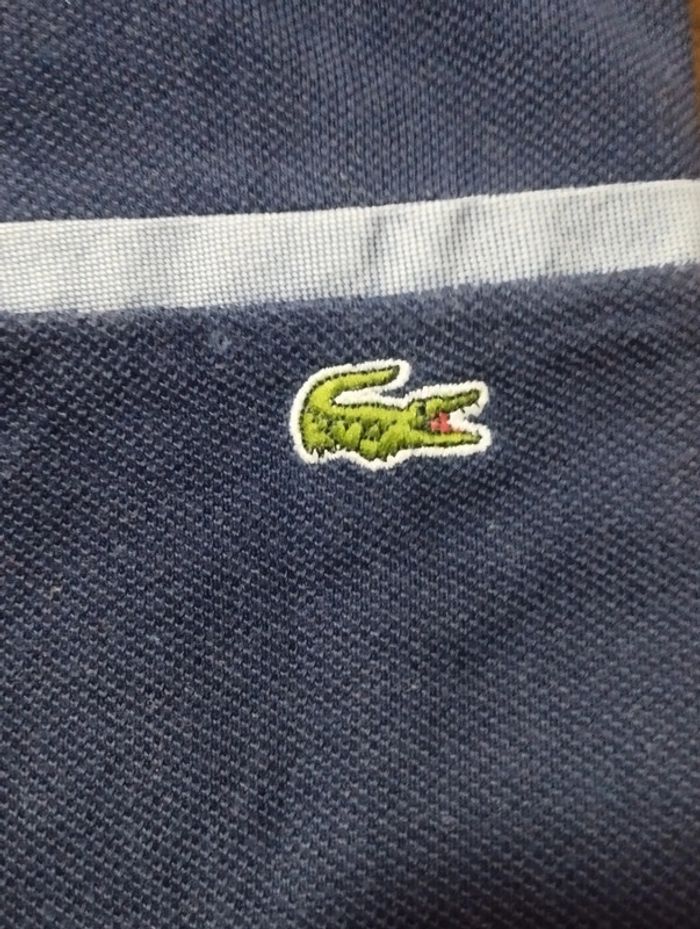 Polo Lacoste neuf - photo numéro 2