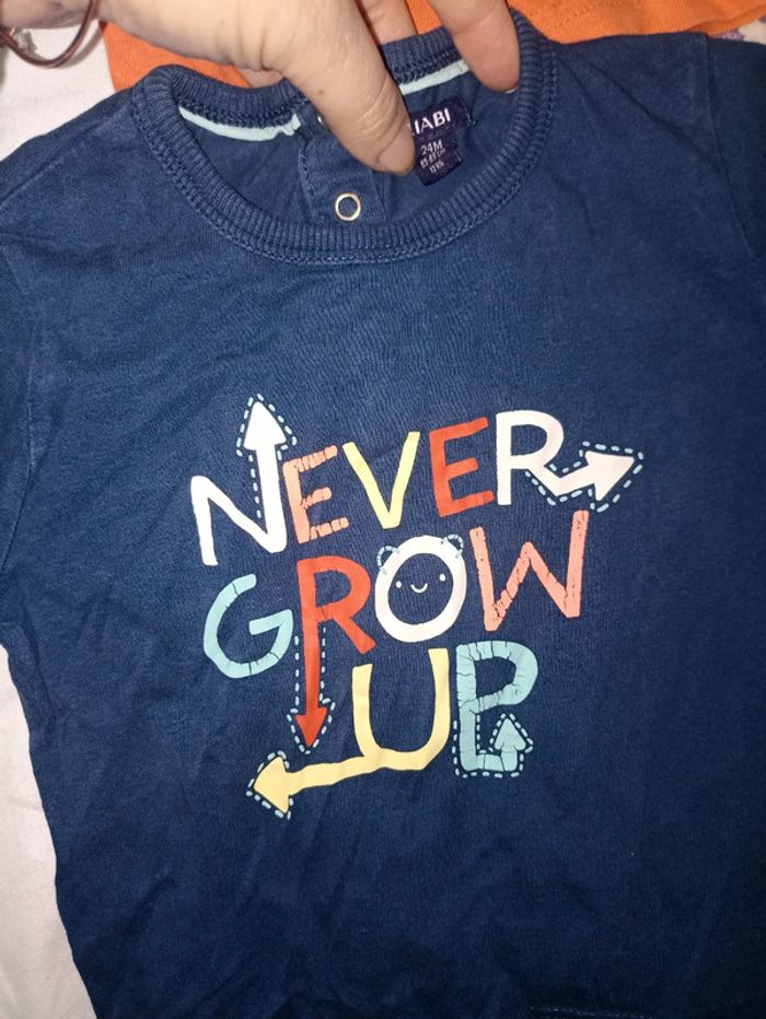 Lot 4 tee shirt 24 mois - photo numéro 2