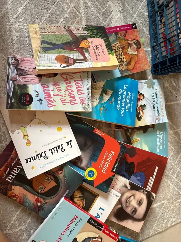 Lot de livre collège - photo numéro 2