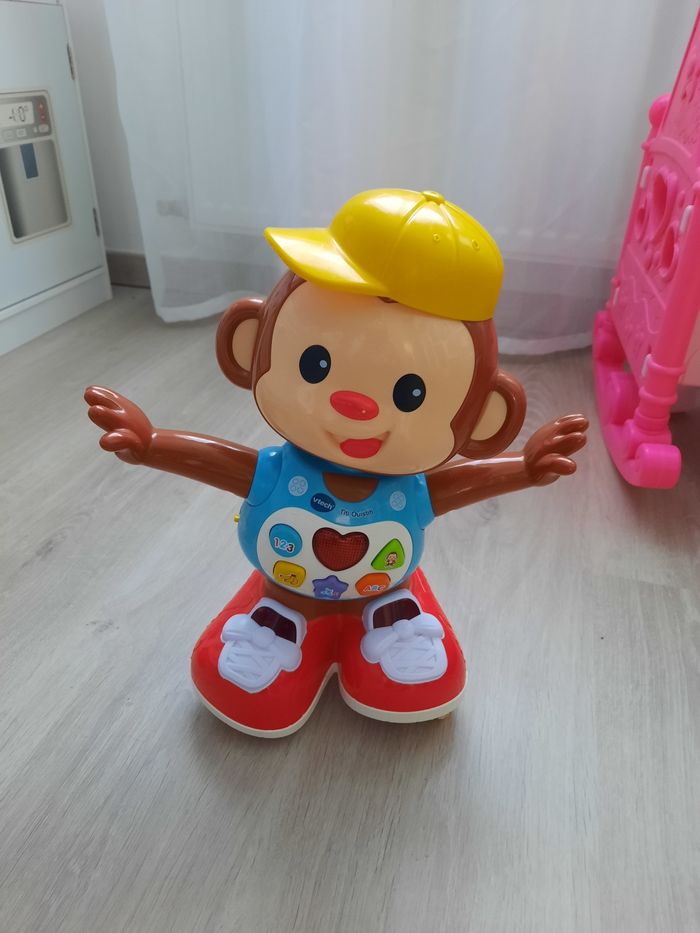 Singe titi ouistiti - photo numéro 2