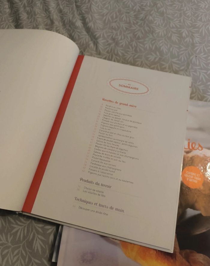 Lot de 4 livres de cuisine mes délicieuses recettes de grands-mères - photo numéro 8