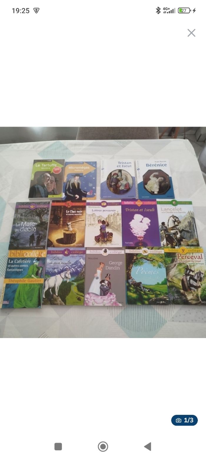 Lot livre collège et lycée
