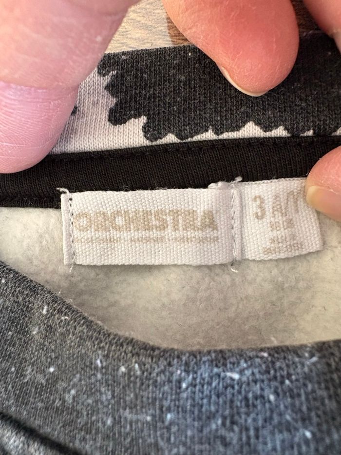 Ensemble Orchestra - photo numéro 4