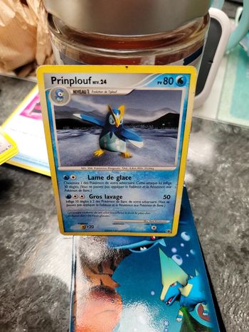 Pokemon prinplouf niv24