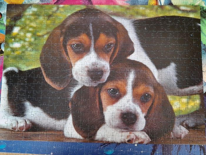 Puzzle 2 chiens 500 pièces