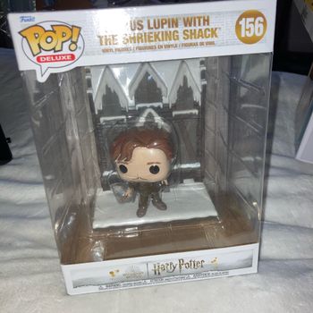 Pop, Remus, Lupin, Harry Potter