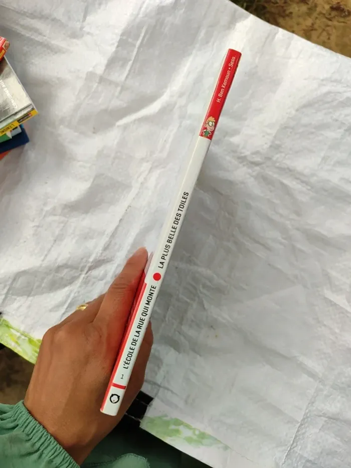 L'école de la rue qui monte, la plus belle toile - photo numéro 4