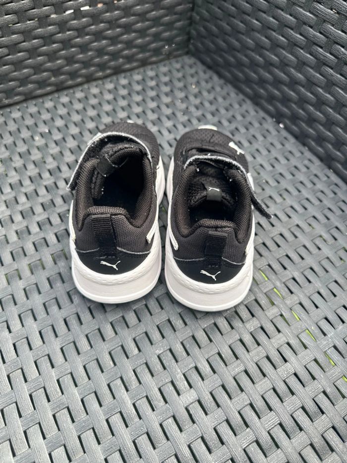 Puma bébé - photo numéro 4