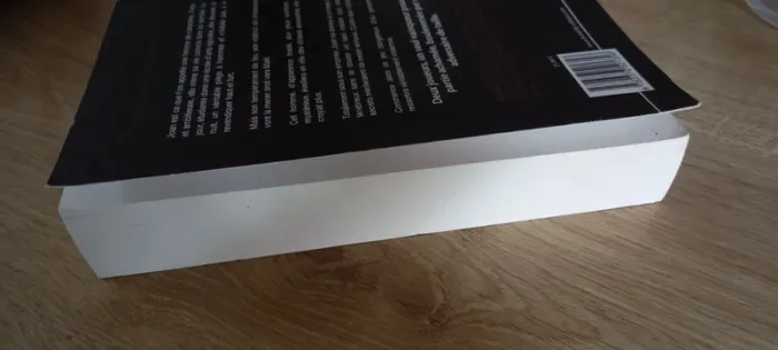 Livre À bout portant - photo numéro 5