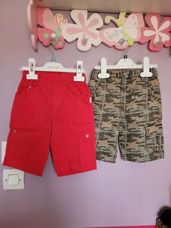 Lot de 2 shorts/ bermudas petit garçon