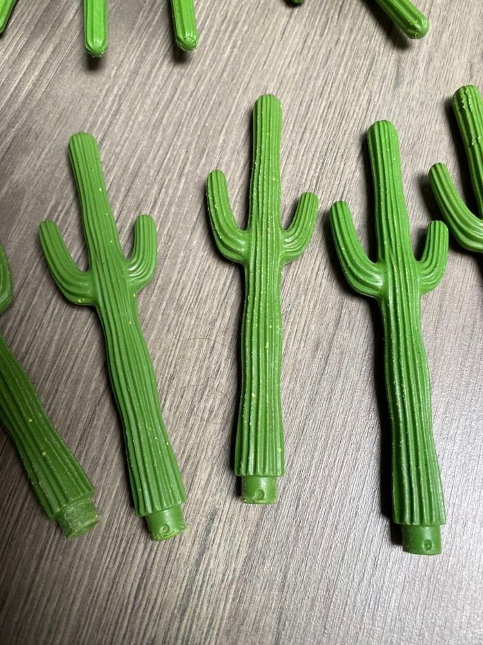 Lot de cactus - photo numéro 7