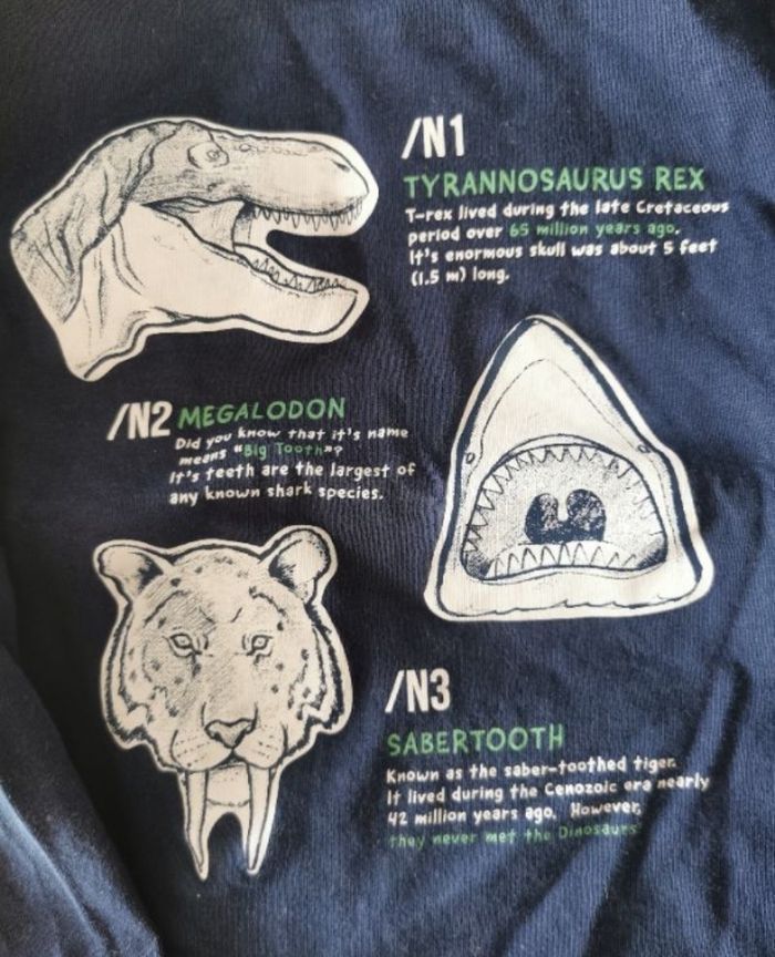 T-shirt manches longues - photo numéro 3